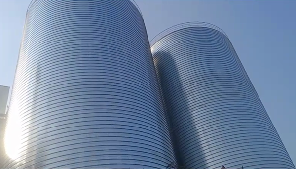 颍州2座混凝土高架卷板仓